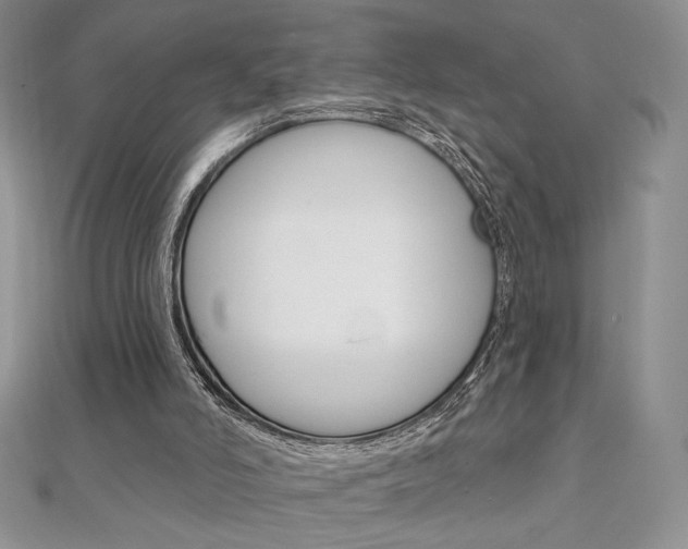 X0000112020006200908031051