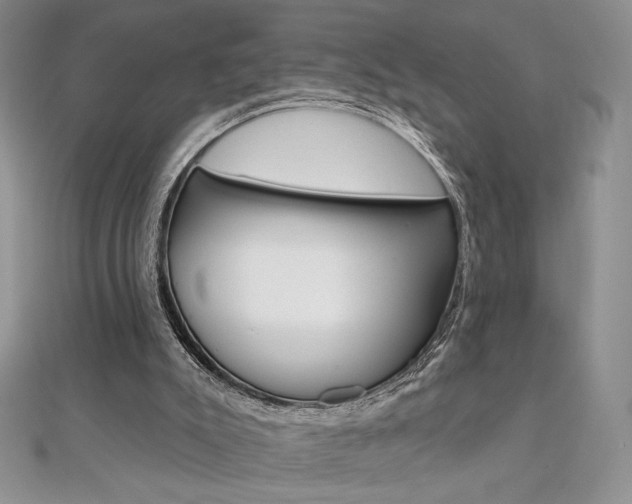 X0000112020007200908031051