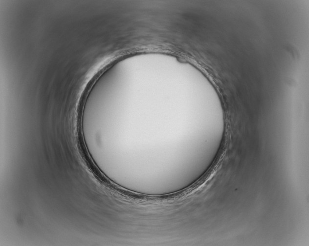 X0000112020008200908031051