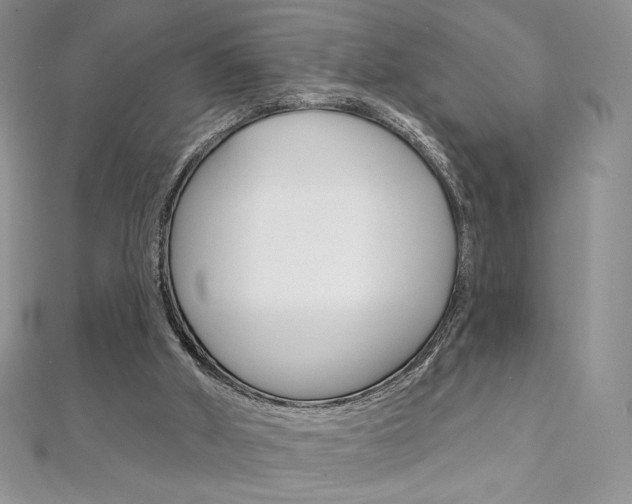 X0000112020010200908031051