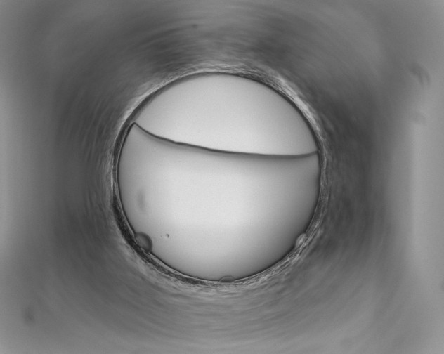 X0000112020011200908031051