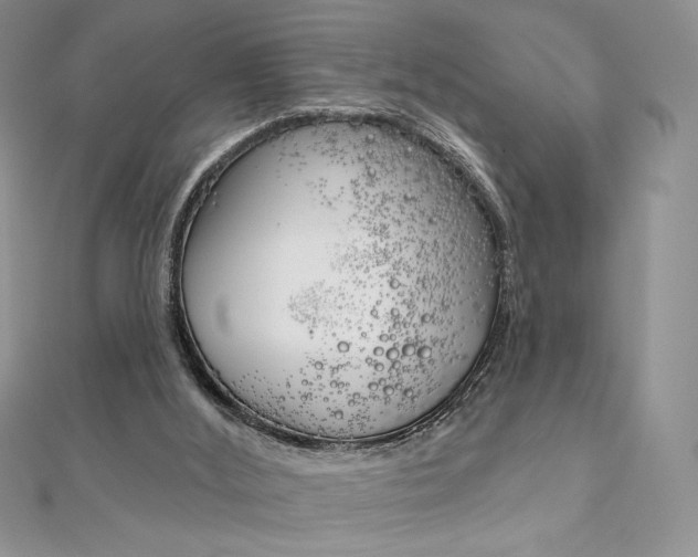 X0000112020012200908031051