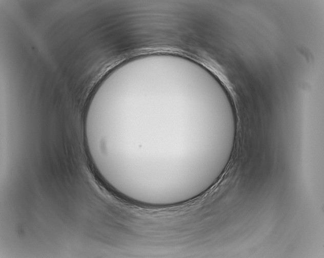 X0000112020013200908031051