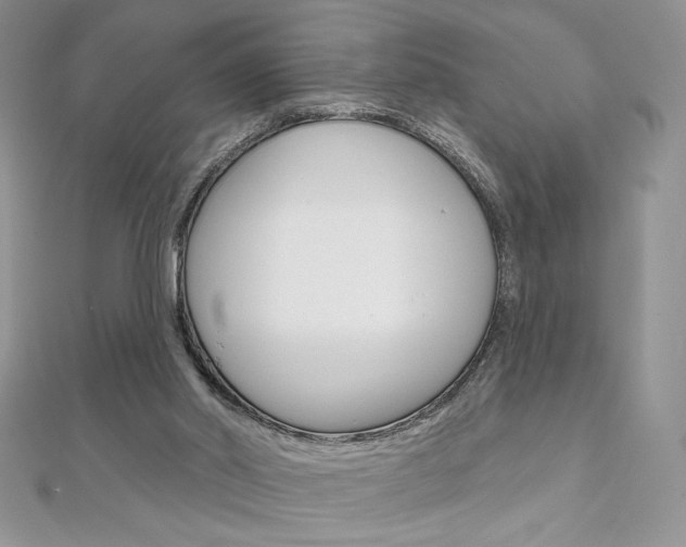 X0000112020014200908031051