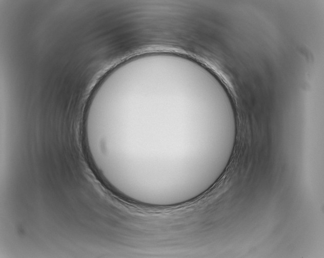 X0000112020015200908031051