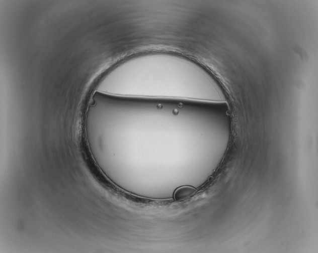 X0000112020016200908031051