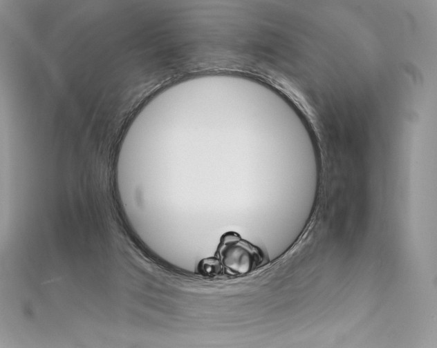 X0000112020017200908031051