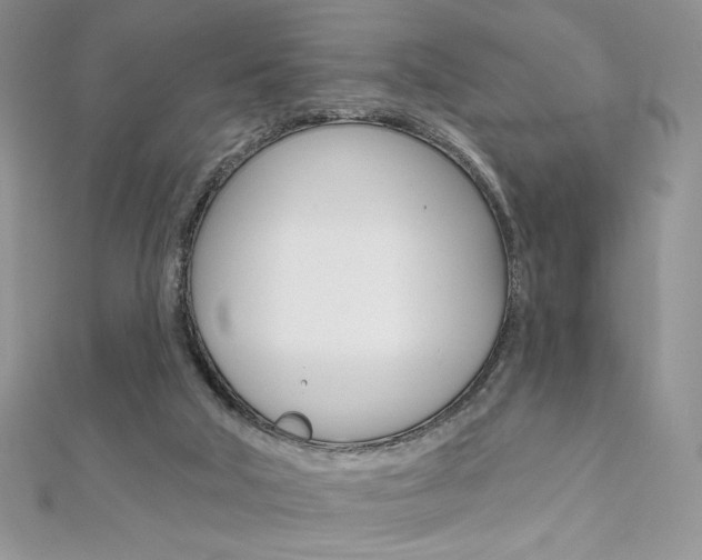 X0000112020018200908031051