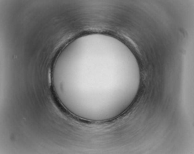 X0000112020020200908031051