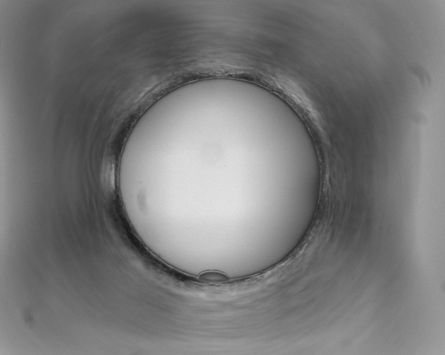 X0000112020021200908031051