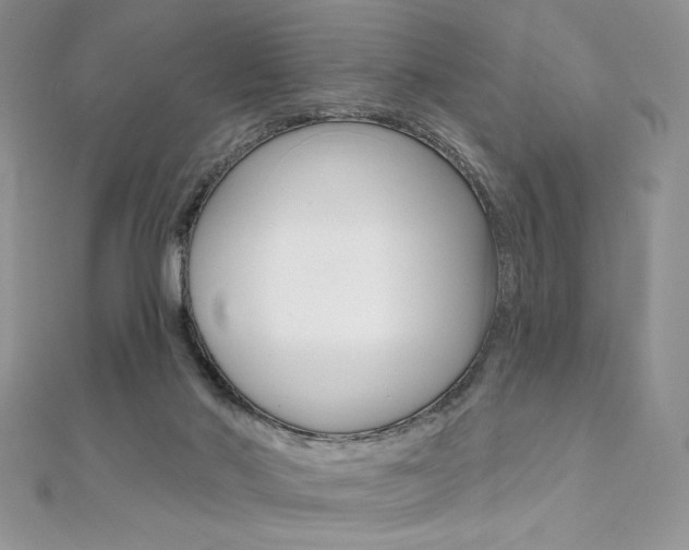 X0000112020022200908031051