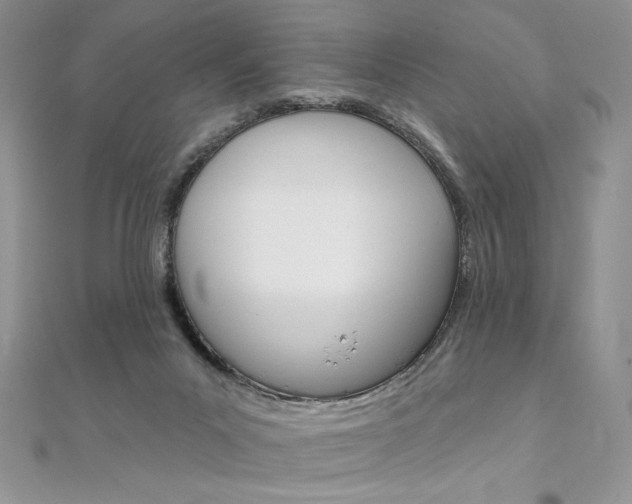 X0000112020023200908031051