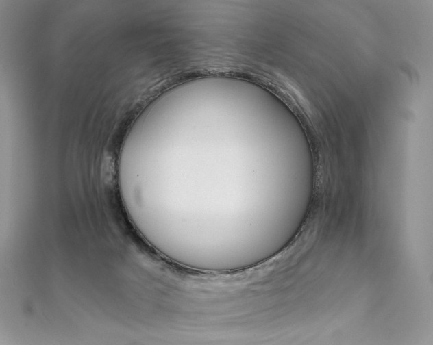 X0000112020025200908031051