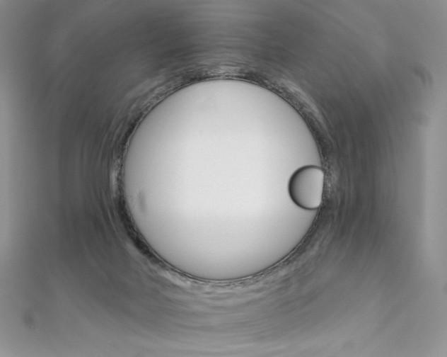 X0000112020026200908031051