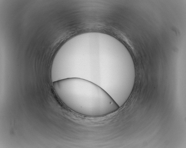 X0000112020027200908031051