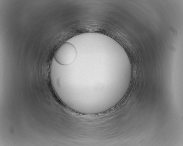 X0000112020030200908031051