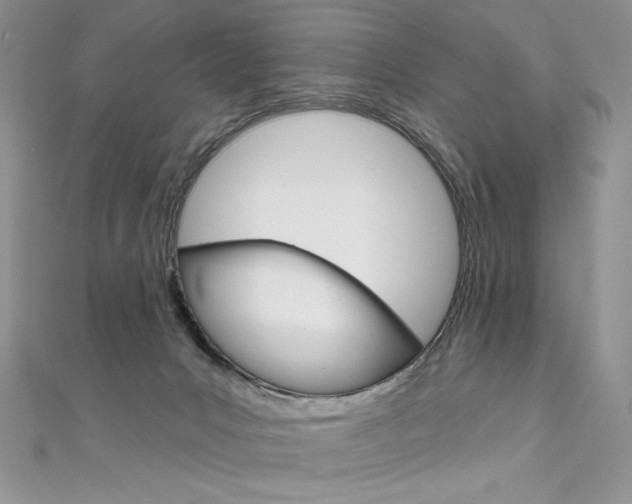 X0000112020031200908031051