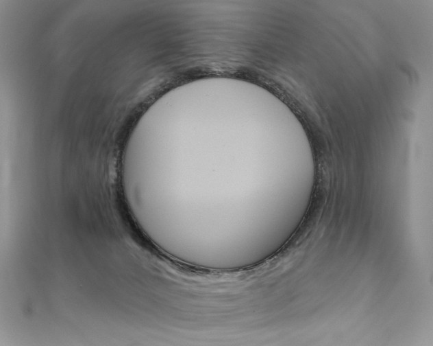 X0000112020032200908031051