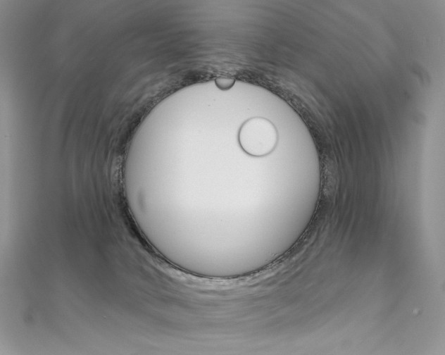 X0000112020034200908031050