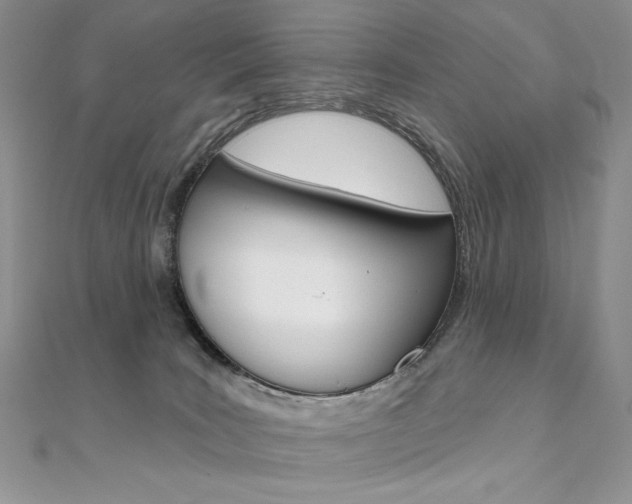 X0000112020035200908031050