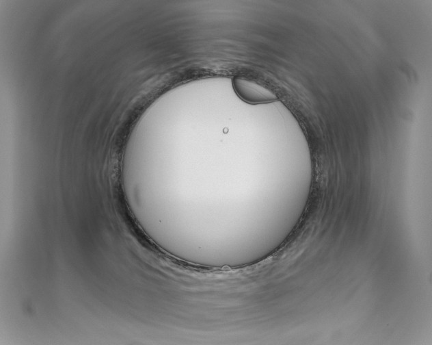 X0000112020036200908031050