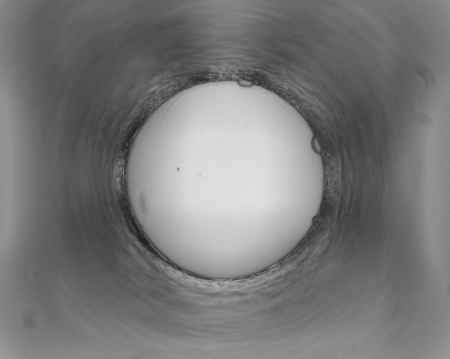 X0000112020038200908031050