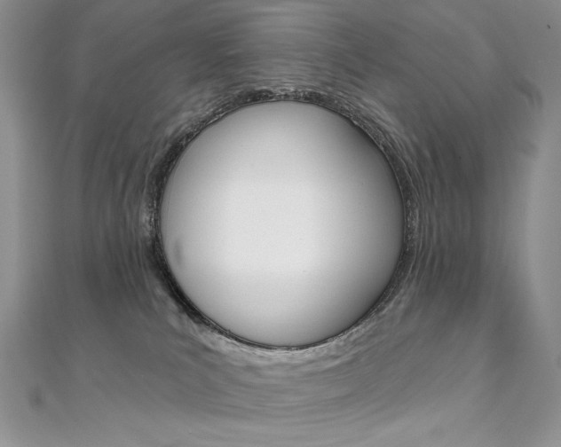 X0000112020039200908031050