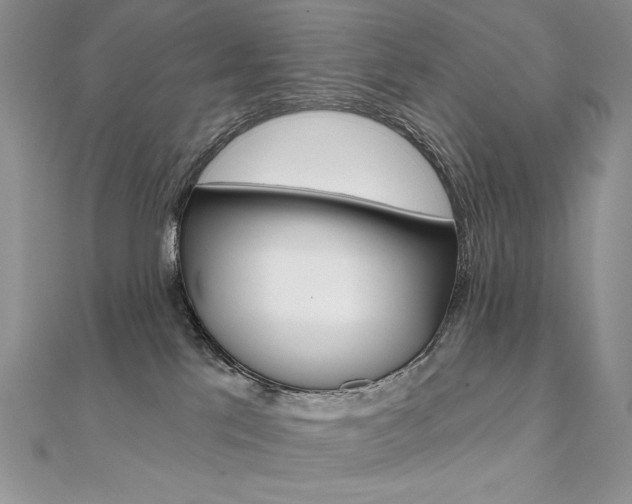 X0000112020041200908031050