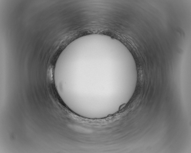 X0000112020042200908031050