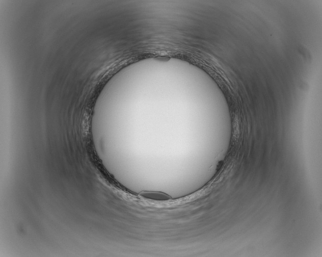 X0000112020043200908031050