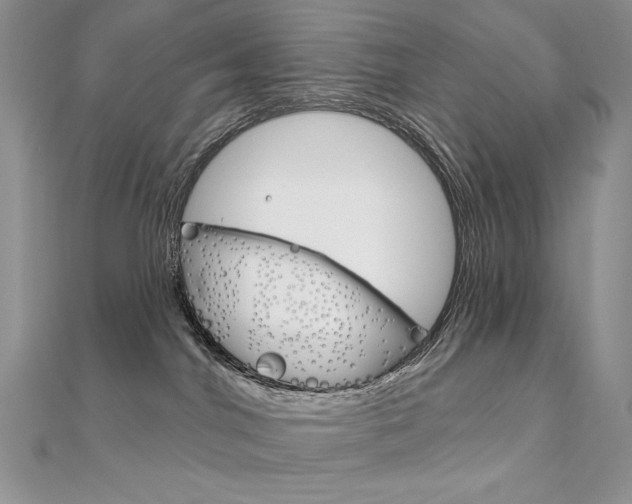 X0000112020044200908031050