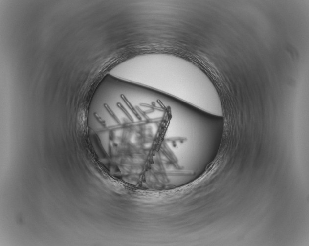 X0000112020045200908031050