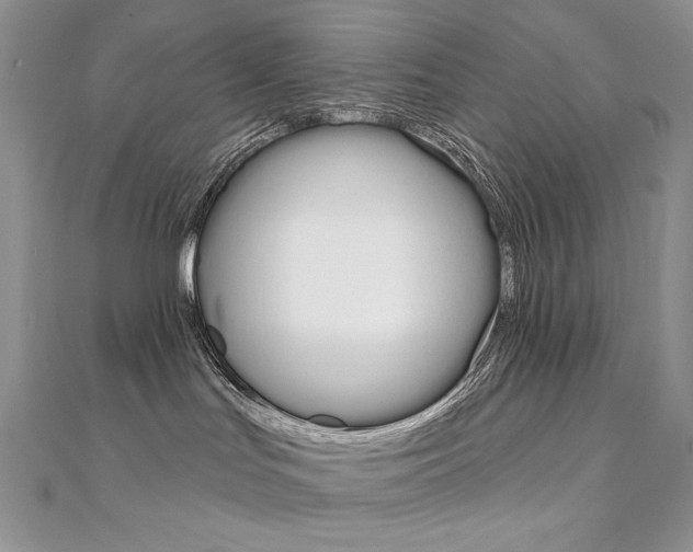 X0000112020047200908031050