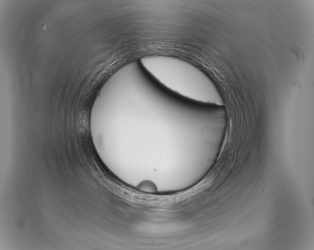 X0000112020048200908031050