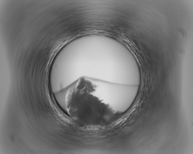 X0000112020049200908031050