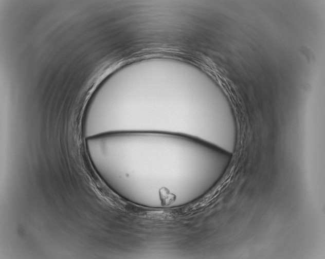 X0000112020050200908031050