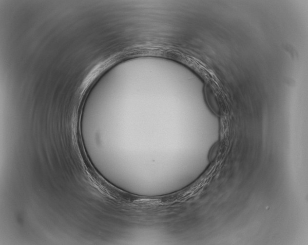 X0000112020051200908031050