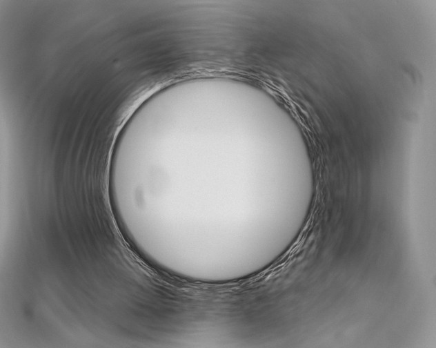 X0000112020052200908031050