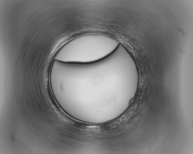 X0000112020053200908031050