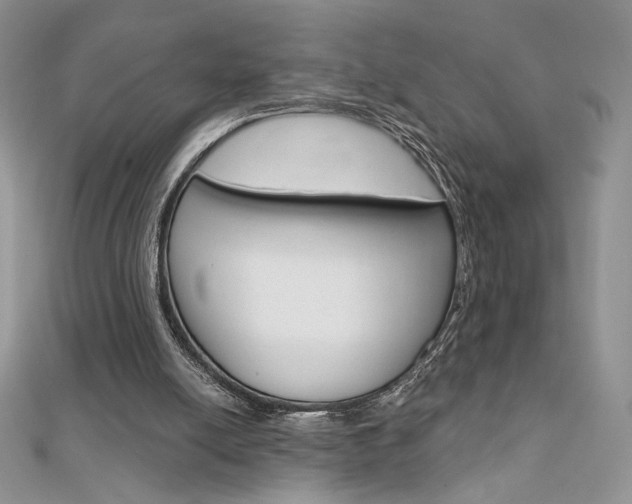 X0000112020054200908031050