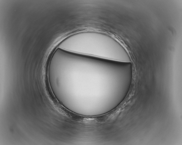 X0000112020055200908031050