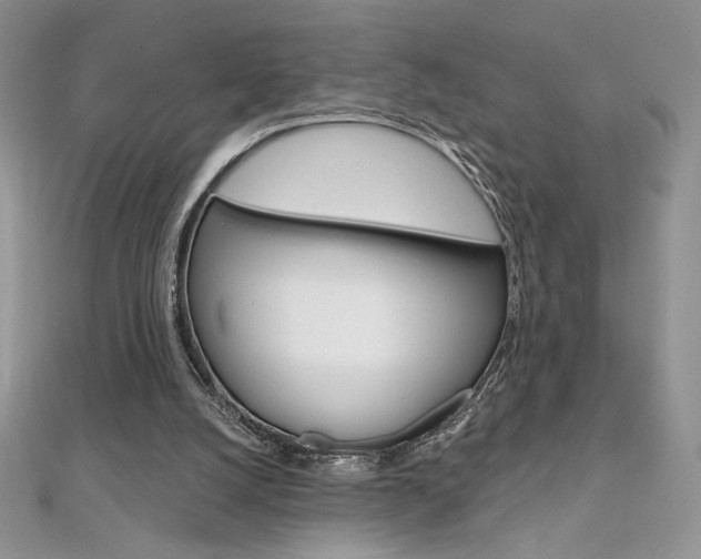 X0000112020056200908031050