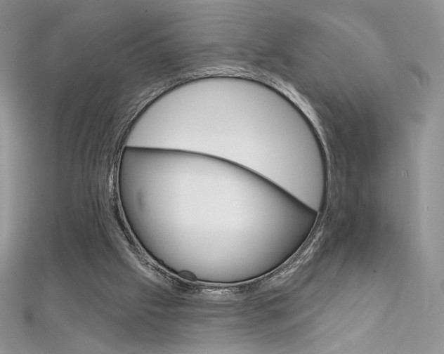 X0000112020057200908031050