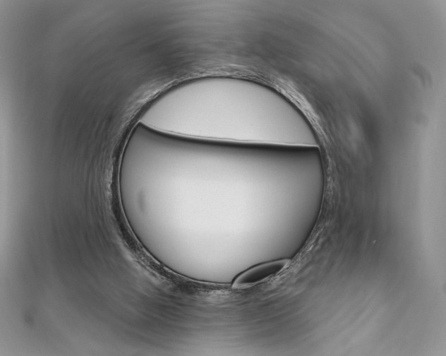 X0000112020058200908031050