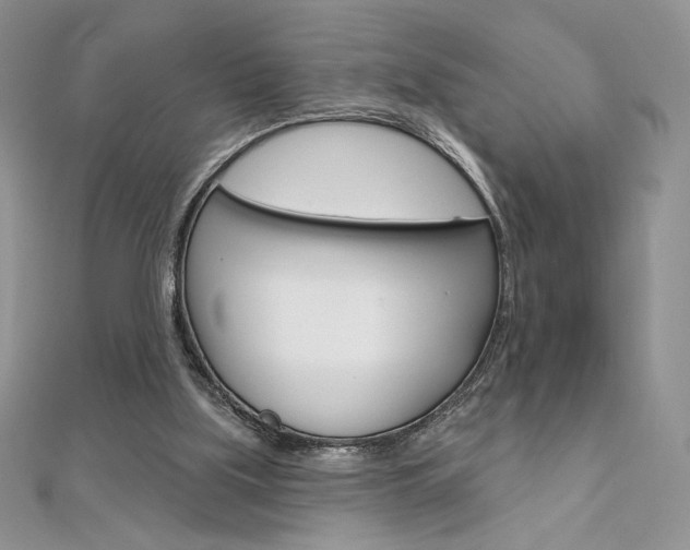 X0000112020059200908031050