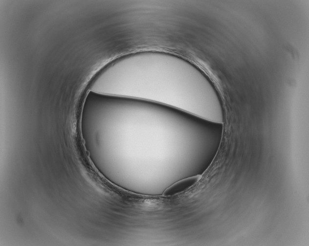 X0000112020060200908031050