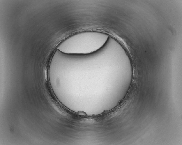 X0000112020061200908031050