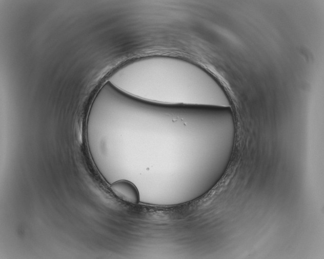 X0000112020062200908031050