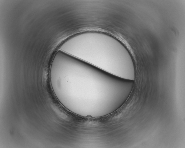 X0000112020063200908031050