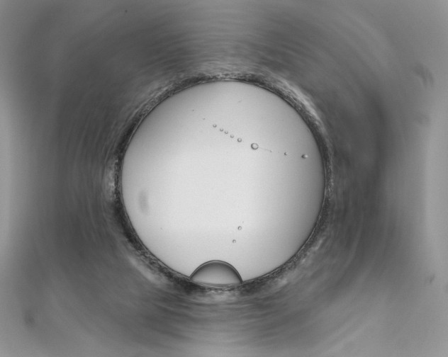 X0000112020065200908031050